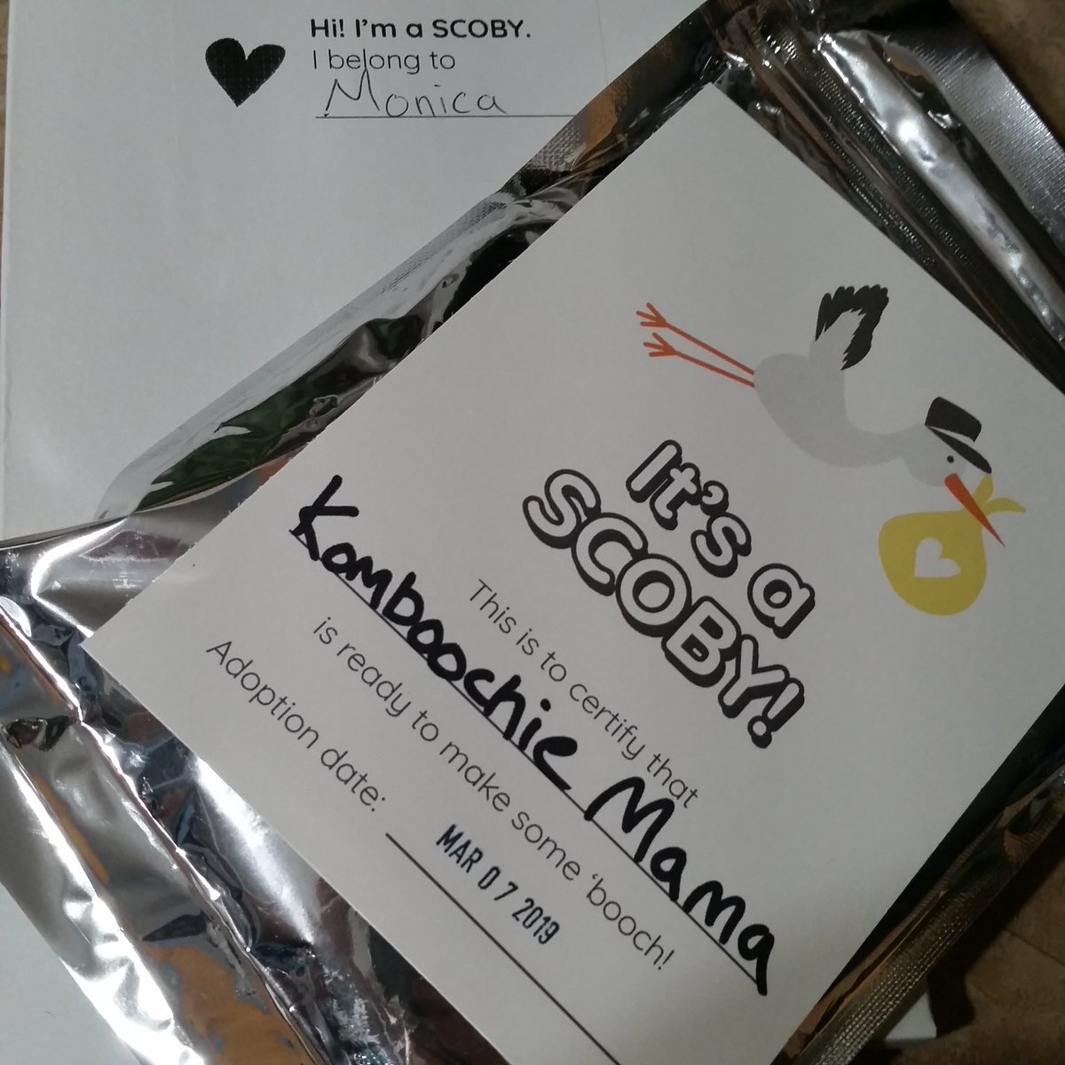 Chatteamommy's tweet photo. Adoption is complete ❤
.
.
This little mama will be making booch very soon 😍
.
.
#kombucha #scoby #booch #kombuchaworkshop #sipology #adoptascoby #tea https://t.co/28OjDbPUYk