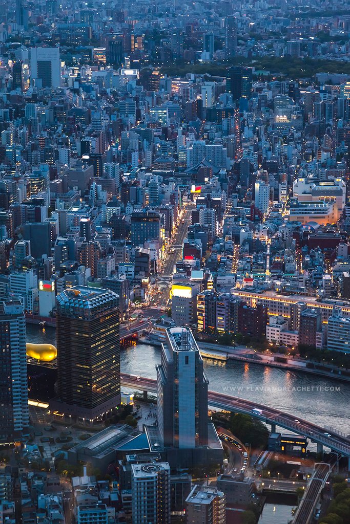 flamorlachetti's tweet photo. #Tokyo at #sunset is just amazing 🏙✨

#bluehour #japan #visittokyo #travelphotographer #travel⁣ https://t.co/W183DWyBA0