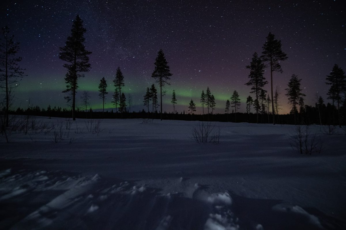 This night we were lucky to see the northern light dancing in the front of the moonlight shadow. #aurorahunters #lapland #norhernlights #spaceweather