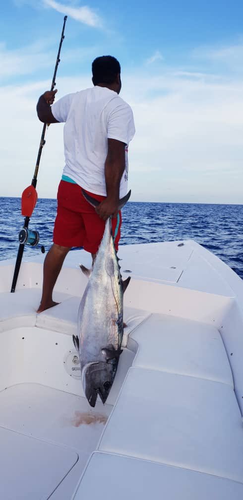 zanzibarfishing's tweet photo. He that would fish, must venture his bait.
#adventure #zanzibaradventurefishing #angler #fishinglife #fishaddict #fishlovers #fishbums #fishfanatics #fishporn #fishjunky #fishingtrip #fishigers #bucketlist #fishon #fishoutofwater #reelfishing #reelfishingfinatics #oceanfishing https://t.co/dFDLIssA5U