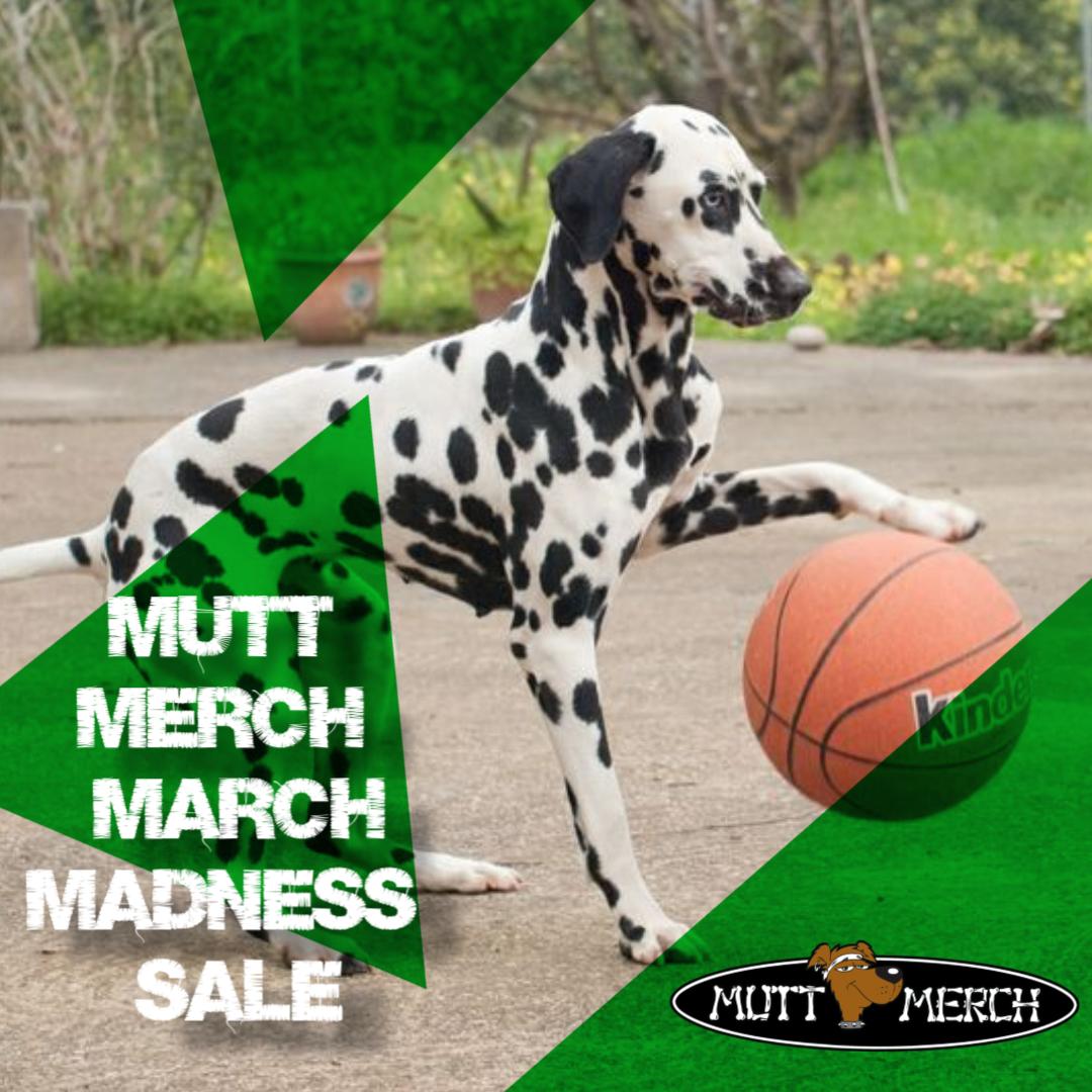 MuttMerch's tweet photo. He's got the dribbling down.
Plenty of time to get in on our @MuttMerch March Madness sales, going on now. *Limited Time Offer* https://t.co/HdQaQihEDa #MarchMadness2019 #MarchMadness #MuttMerch #WHERESYOURMUTTMERCH #dogsoftwitter https://t.co/oY6WIWstBv