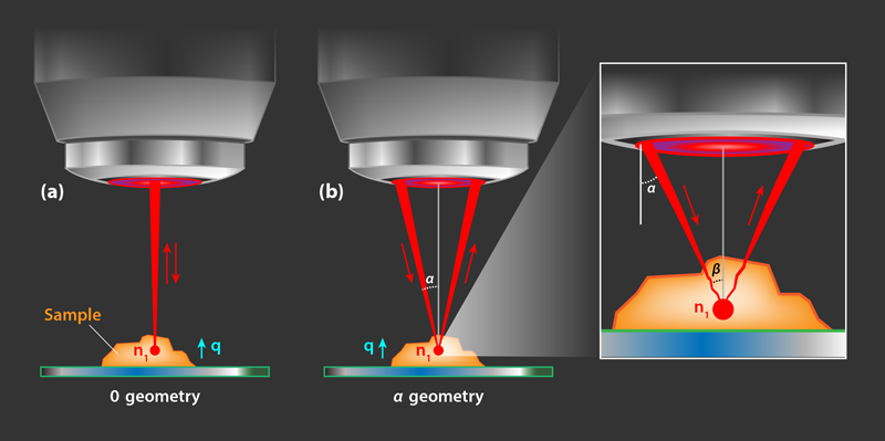 Using dual photon-phonon scattering, the refractive index of a material can be determined in an absolute manner with 3D spatial resolution, accessing the sample from a single side and without regard to the size, symmetry, or shape
go.aps.org/2Uv3OKD
