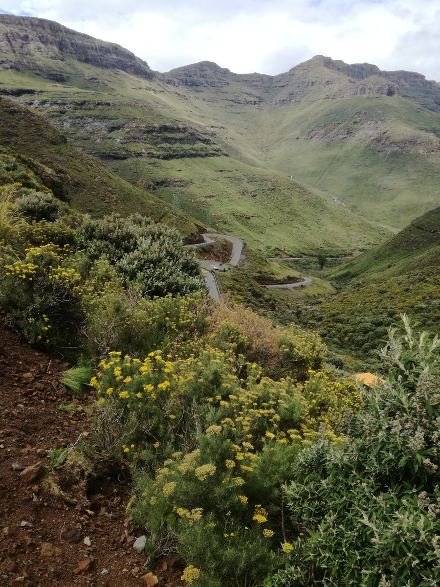 Gama_Tebello's tweet photo. Parts of Lesotho 🇱🇸 they never show on TV
#MotengPass
@Mokhotlong https://t.co/Iy35fFI20e