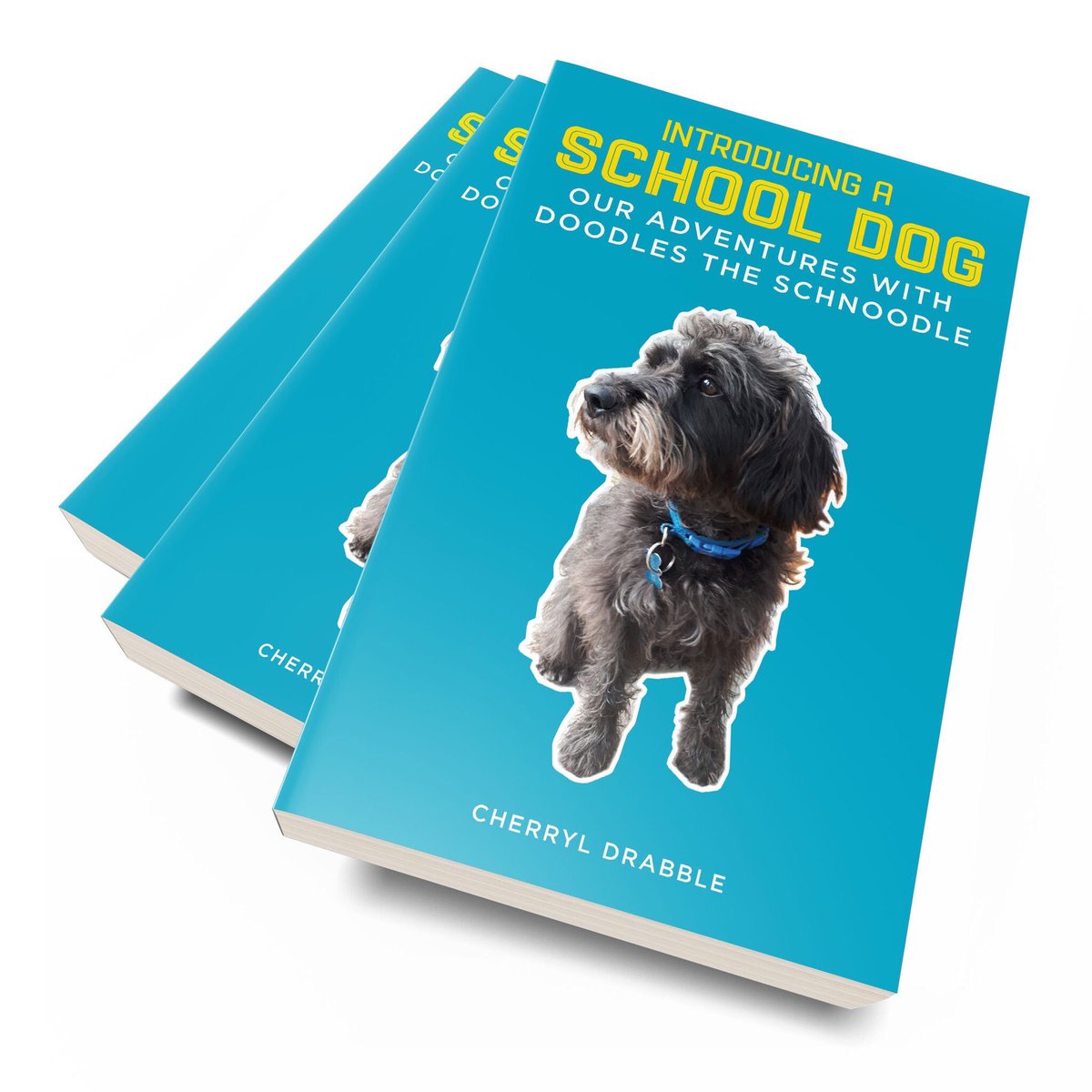 My new book about the impact ⁦<a href="/DoodlesTheSchn1/">@DoodlesTheSchnoodle</a>⁩ has had on the children in our school is now available. Read our story and our future plans for Doodles. 
amazon.co.uk/Introducing-Sc…
