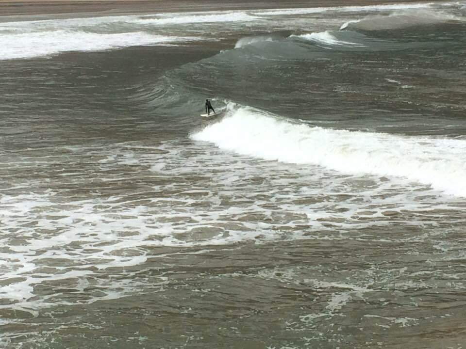 Wild Water Adventures tweet media