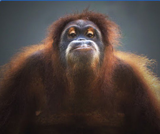 remi tereszkiewicz tweet media