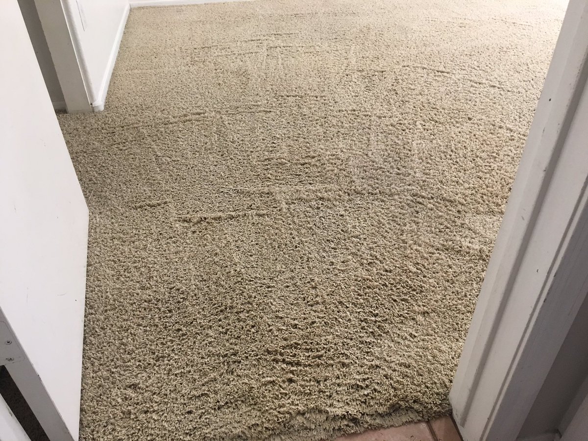 CardinlCarpetAZ's tweet photo. I want to be your carpet cleaner follow me in Glendale AZ 85310 call today and schedule your appointment! Mon-Sat8am-8pm.(602)678-1536 https://t.co/h5IAXpdtn8 #Carpetcleaning #Tilecleaning #Upholsterycleaning #Rugcleaning #Schemmamarkup #Googlemybusiness https://t.co/x6l1CUlOo1