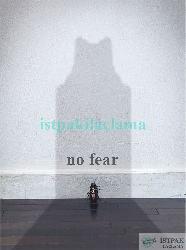 istpakilaclama.com  #böcek #ilaçlama #haşare #kemirgen #istanbul #ilaçlamaservisi #pestcontrol  #derman #spraying #cockroach #hygienespraying #pireilaçlama #istanbulilaçlama #profesyonel #hijyen #gümüşböceği #sinek #sivrisinek #المبيدات #commercial #bug #jelilaçlama