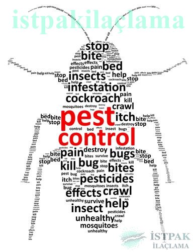 istpakilaclama.com  #böcek #ilaçlama #haşare #kemirgenl #ilaçlamaservisi #pestcontrol  #derman #spraying #cockroach #hygienespraying   #fareilaçlama #pireilaçlama #istanbulilaçlama #profesyonel #hijyen #gümüşböceği #sinek #sivrisinek #المبيدات #commercial #bug #jelilaçlama