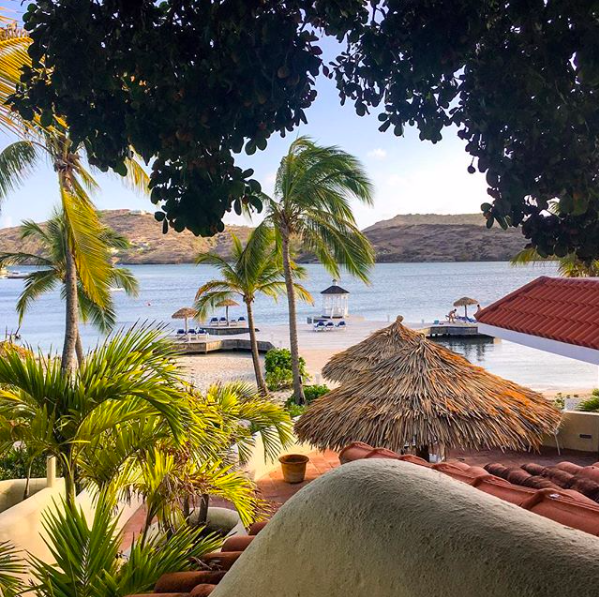 StJamesAntigua's tweet photo. Just another day in paradise. What comes to mind when you’re looking at this view? #Paradise #Antigua #PalmTreeViews
📷: elegantbanshee04 https://t.co/mYHO8B0KMZ