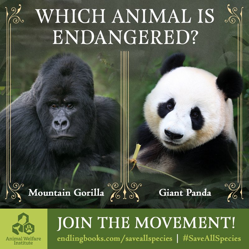 Want to help protect endangered species and support the #EndangeredSpeciesAct? Visit bit.ly/2Rzi3AP to learn more about how AWI is partnering with @harpercollins to raise awareness about endangered species worldwide. #SaveAllSpecies #EndlingBooks #EndangeredSpecies