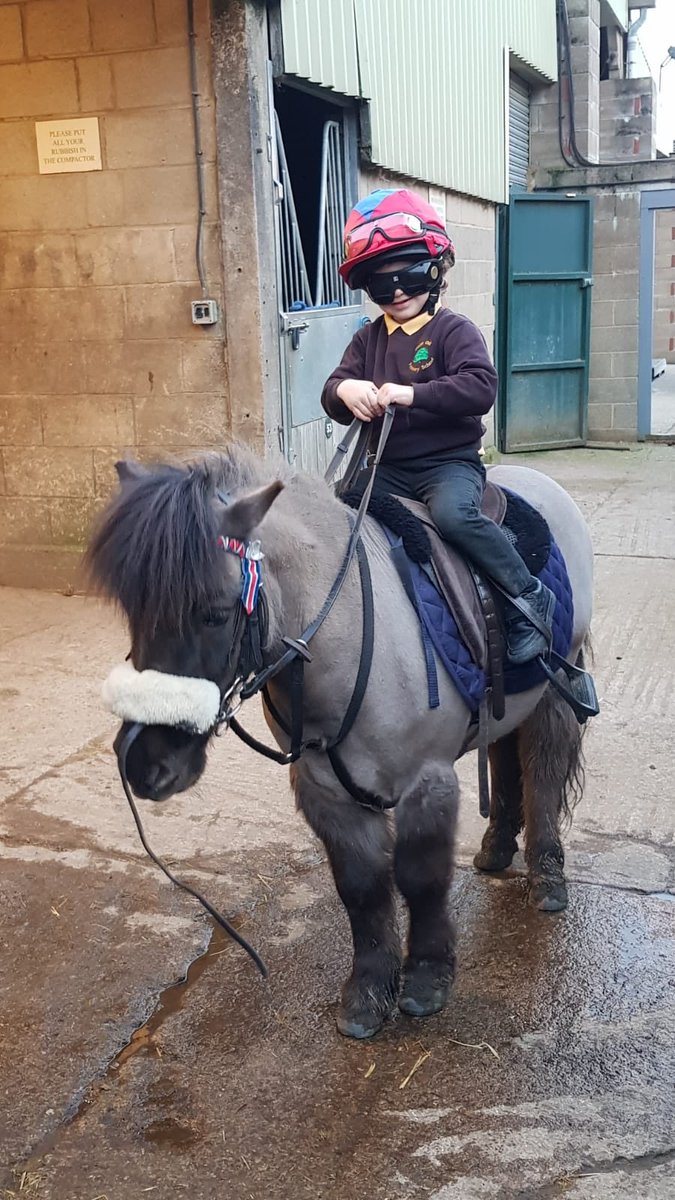 JoGubb's tweet photo. Jockeyintraining
#CheltenhamReady #CheltenhamFestival https://t.co/lQXrJ9fUkp