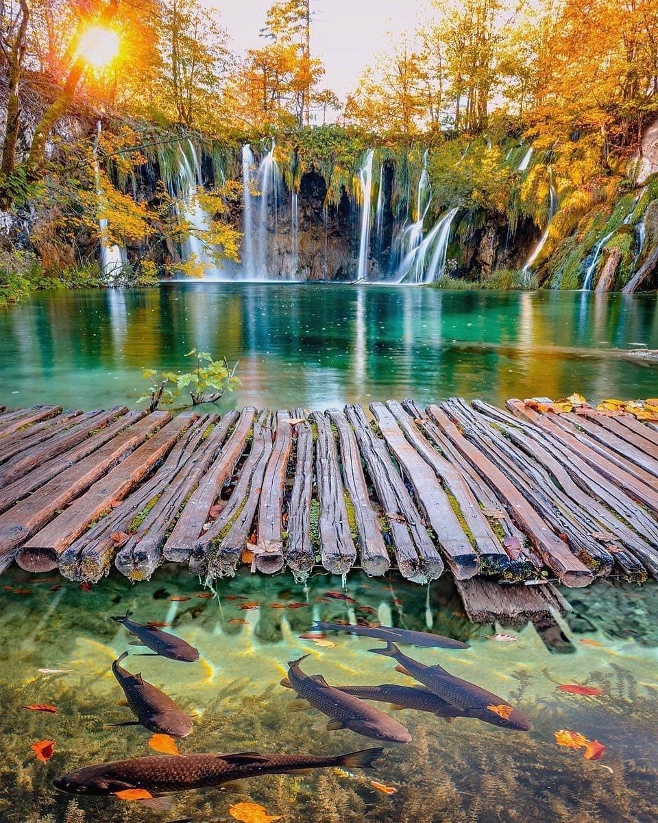WtEurope's tweet photo. So amazing 😍 Croatia 🇭🇷🇭🇷🇭🇷
🚩 Follow @WtEurope
📍 Like and RT ⬇️ 🚩
🌎Croatia 🇭🇷 🇭🇷
Credit 📷 @kyrenian https://t.co/mUqYZ5CyVv
