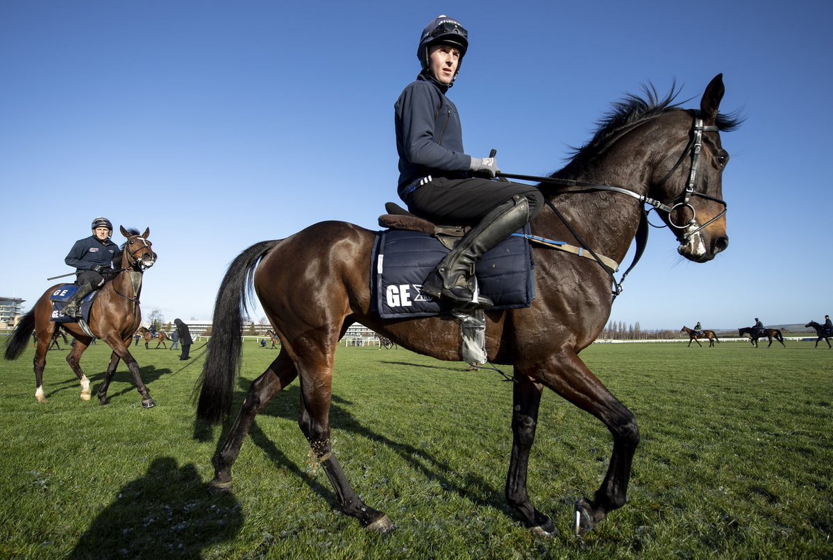 NavanRacecourse's tweet image. Team GE is ready! 💪🏼☘️🏇

Wishing @gelliott_racing and all his team the best of luck this week at the Cheltenham Festival. 

#NavanForm winners Apple’s Jade &amp;amp; Battleoverdoyen looked a picture this morning on the gallops. ⬇️

#RoyalCounty #GreenCorner #TheFestival #TeamIreland