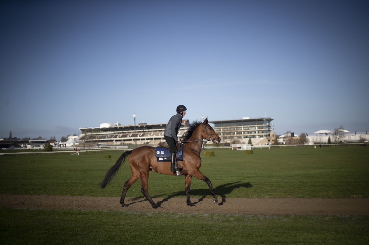 NavanRacecourse's tweet image. Team GE is ready! 💪🏼☘️🏇

Wishing @gelliott_racing and all his team the best of luck this week at the Cheltenham Festival. 

#NavanForm winners Apple’s Jade &amp;amp; Battleoverdoyen looked a picture this morning on the gallops. ⬇️

#RoyalCounty #GreenCorner #TheFestival #TeamIreland