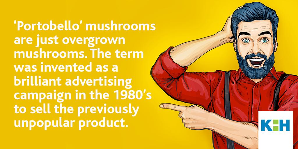 KornHynes's tweet photo. NEVER UNDERESTIMATE THE POWER OF ADVERTISING
#Advertising #AdvertisingTrivia #AdvertisingFun #AdvertisingFacts #AdvertisingHistory #AdvertisingCampaigns #PowerofAdvertising #DidYouKnow #DYK https://t.co/AwLLNctQhj