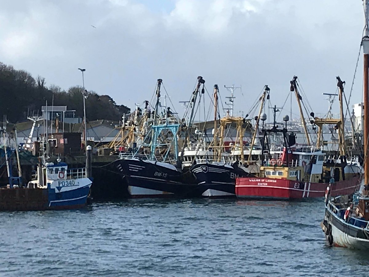 PrinceWilliamBx's tweet photo. The view from our terrace yesterday...the trawlers sheltering from the bad weather 🌬 #windy #brixham #trawlers https://t.co/u4WN06qFzB