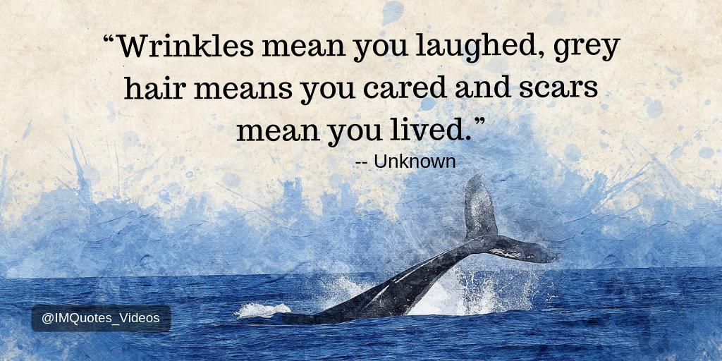 MHCenterKids's tweet image. With age comes wisdom and experience.

#Quotes