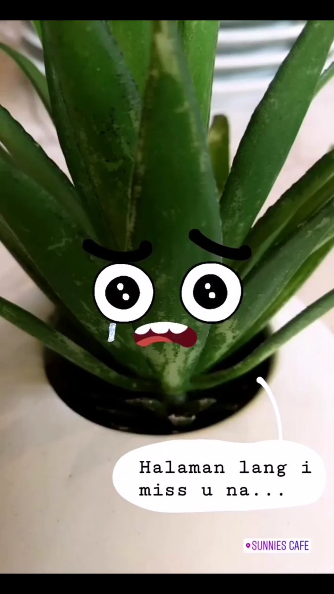 Aj Bacar tweet media