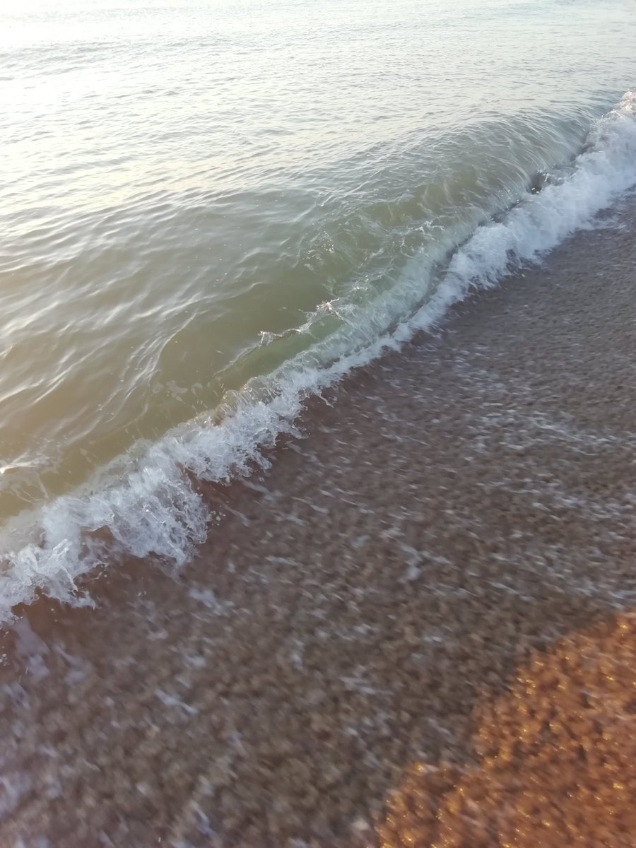 rogighiro's tweet photo. #Sappiate dunque che la vostra plastica e i vostri rifiuti che buttate a mare prima o poi vi verranno restituiti o sulle spiagge o nei pesci che mangiate.
#amaretuttolanno è innanzitutto rispetto.
#Collodi #Pinocchio
Capitolo XXXIV
#Wilcongiuntivo #scritturebrevi https://t.co/9hDBpqA59m