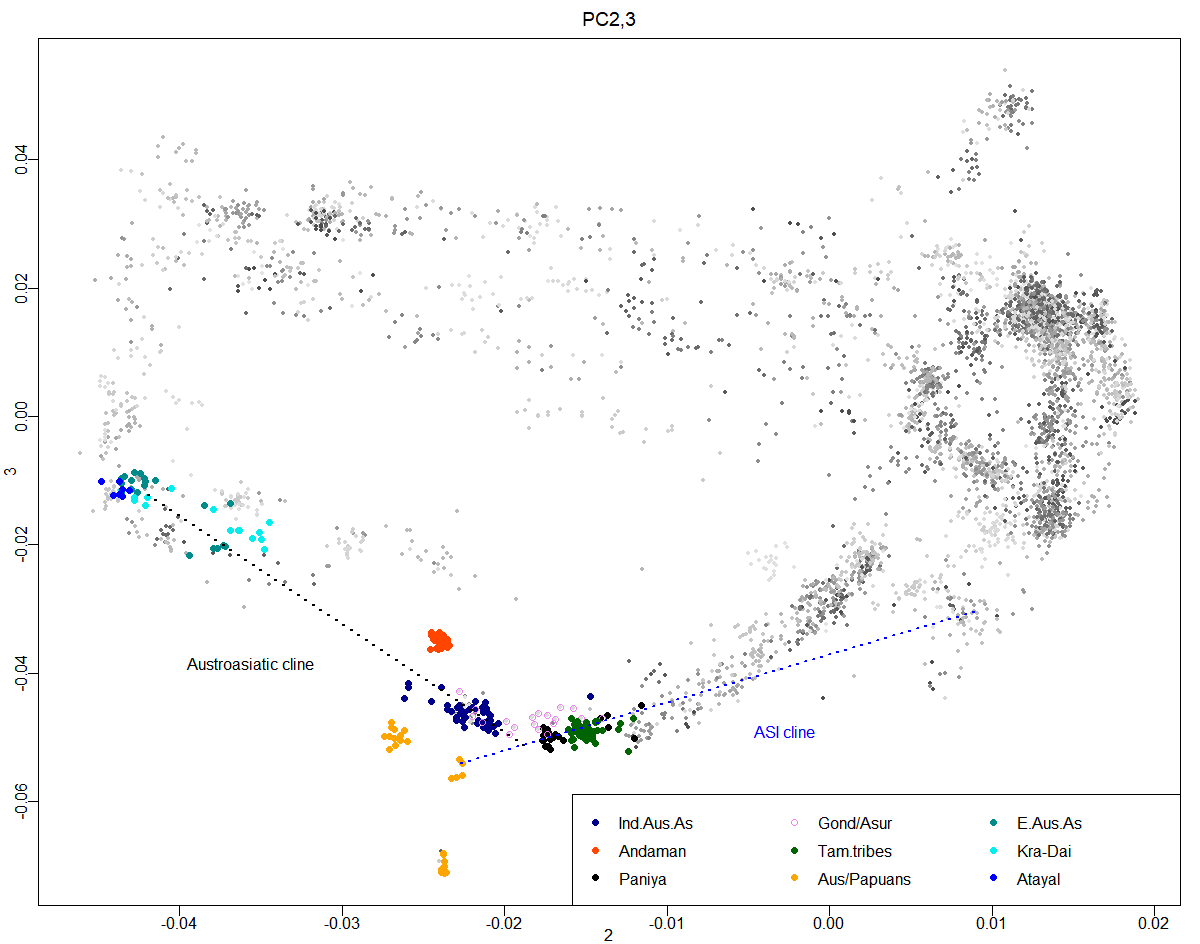 While many H go blue in the face denying a relatively obvious thing like the Aryan invasion they often ignore the 2 other incursions that played a notable role in shaping the populations of greater India. 1 of these is Austro-Asiatic invasion from east Asia which is below