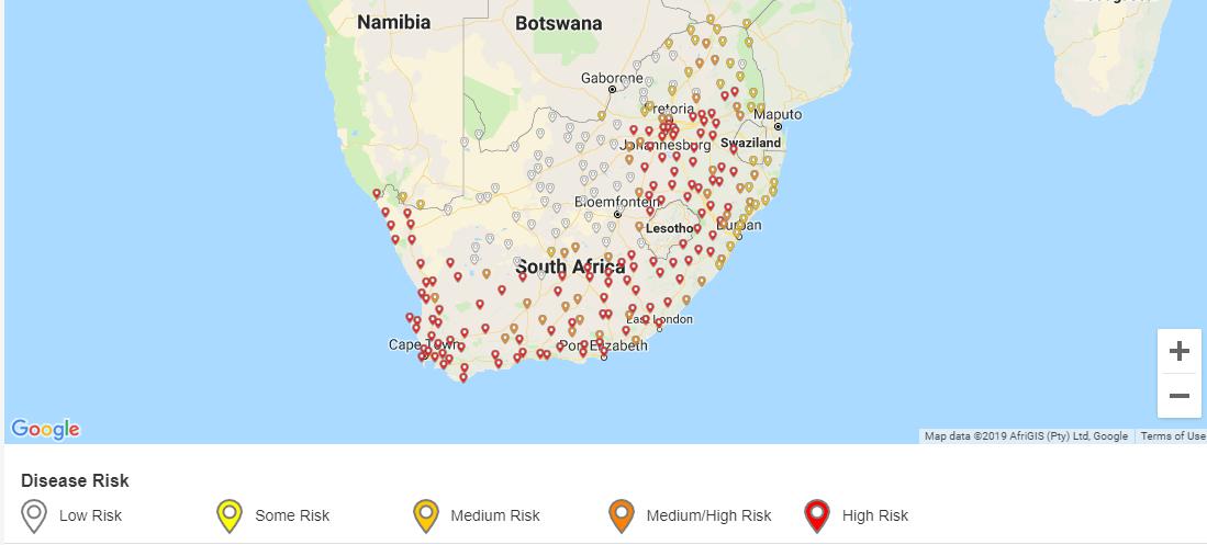 SyngentaTurfSA's tweet image. #DYK
You can see exactly what the #turfdiseaserisk is in your area, right this minute.
This is the #Takeallpatch risk across #SouthAfrica 
Check it out here 👇plus other diseases and growing potential and soil temperatures.
greencast.co.za/service/live-d…