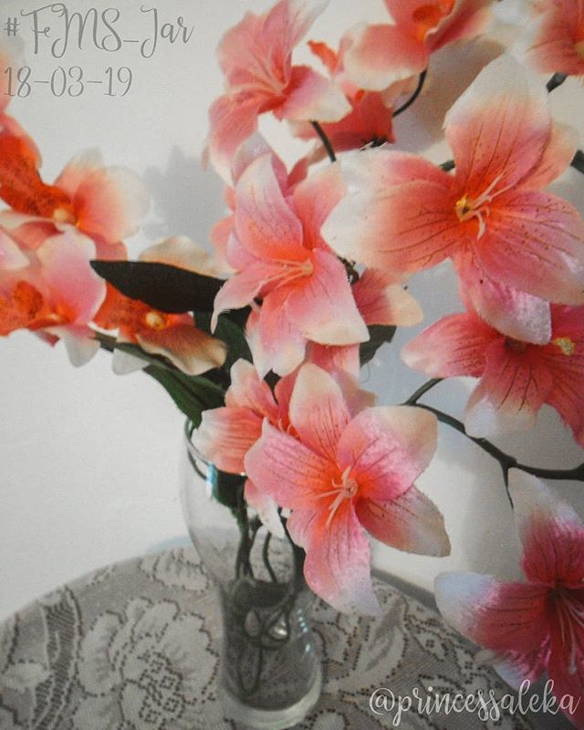 Princess_Aleka's tweet photo. [77/365] Día 18. Jarrón: Flores. • (Day 18. Jar: Flowers.) • • •
#FMSPAD #FMSPhotoADay @fmsphotoaday #FMSPhotoADayMar #FMS_Jar #PhotoADayChallenge #365DaysOfPhotos #LittleMomentsApp #BFYT #VzlaXLike #Jarron #Flores #Jar #Flowers https://t.co/MhzKG1LxRL https://t.co/W8XSt1peNI