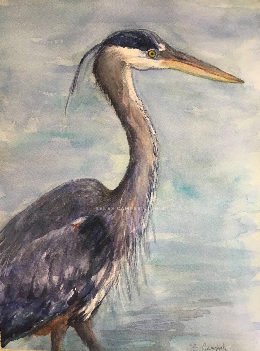 “Great Blue Heron” watercolor by Renee Campbell, 9” x 12”, #watercolorpainting, #coldpress #watercolorpaper, #fabrianoartistico, #heron, #wildlifeart, #animalportrait, #greatblueheron. This piece will be for sale. #etsy, #etsyseller, Shop link in profile. #artforsale #original
