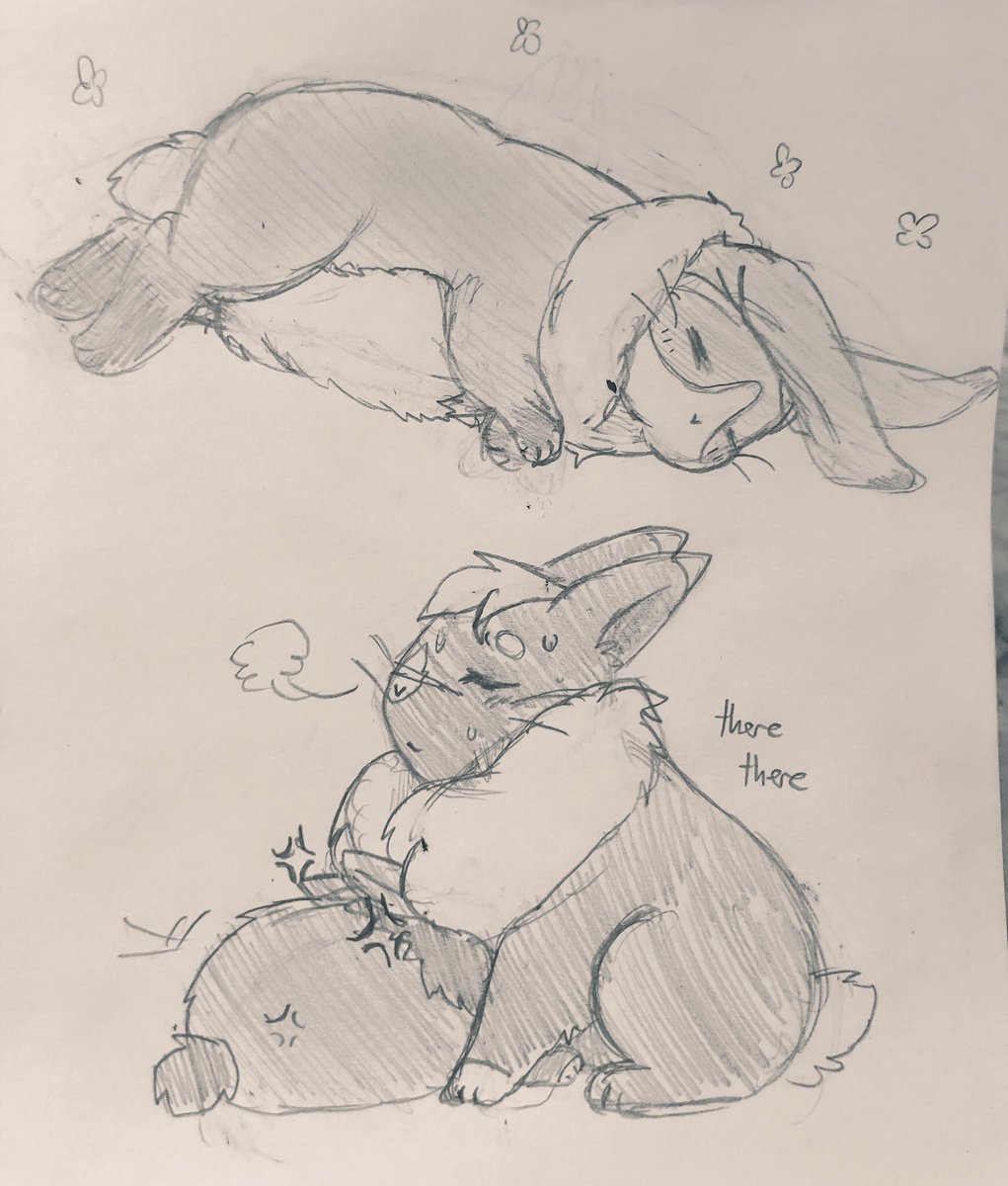 teiandcake's tweet photo. Some #buntron suggestions from last night, namely more of big soft squishy lop Hunk and Keith getting comfort from his favourite thing(s) in the world https://t.co/jXgIiQ7g3s
