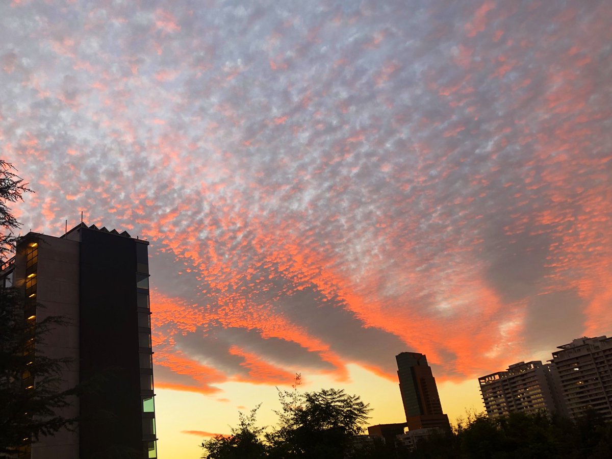 claudiayagnam's tweet photo. Turner llega a Chile #hoy #atardecer #expo #santiago #ccplm @CCPLM https://t.co/qbijnQPVZX