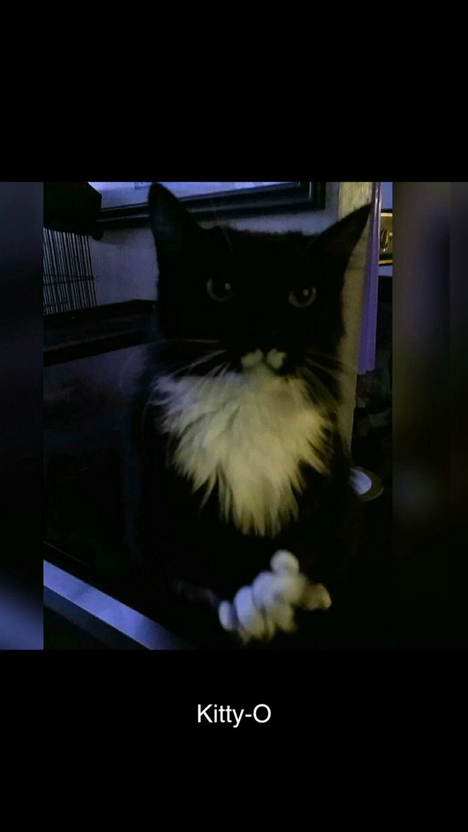 [Spoilers] Re-viendo Uma Musume 2025 -- Pretty Derby Temporada 1 Episodio 6  : r/anime, image size:675x1200