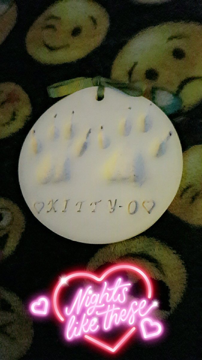 msmastafoxx's tweet photo. 🌈😘🐱💔🙏💜 #Mood #RainbowBridge #KittyO #RIP #UniversalFlight #RestInPeace #Love https://t.co/cW0KMpIhvy
