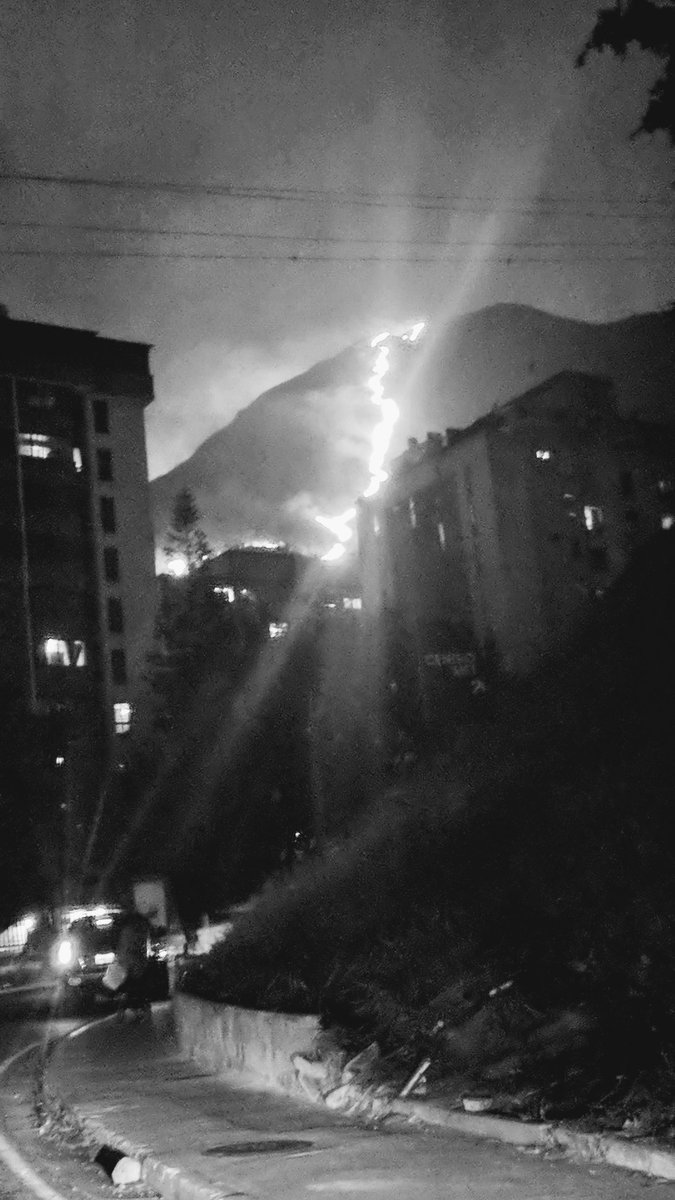 Oly Mary tweet media