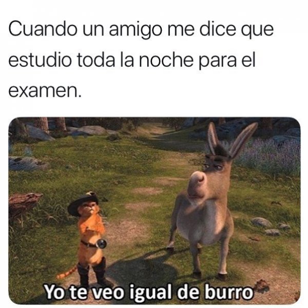 Bien hecho Burro - Meme by DaigoMomazos :) Memedroid