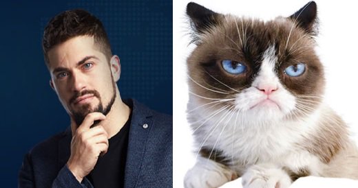 ChattyGemini's tweet photo. @BigBrotherCA  is it just me or does Mark look just like Grumpy Cat? https://t.co/4ewBhX5FMn