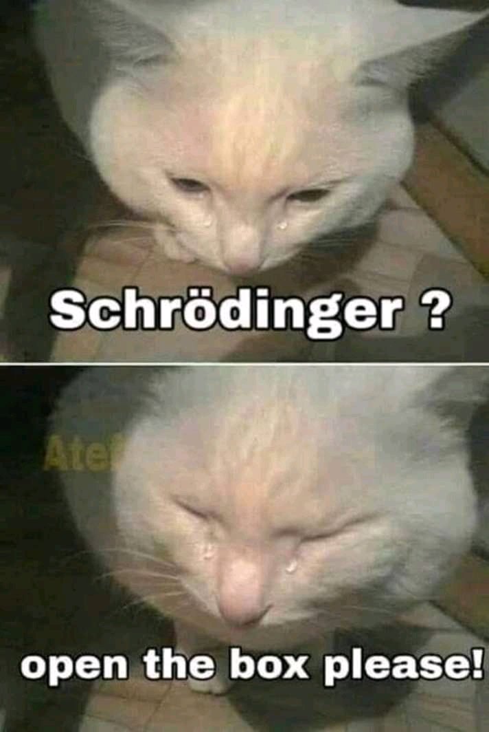 FilosofiaMderna's tweet image. motherfucker