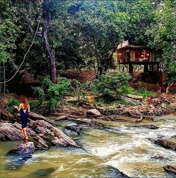 KumbukRiver's tweet photo. This river runs through its name-sake KumbukRiver resort as it splits two national parks - Yala and Kumana, before getting into an eternal embrace with the mighty Indian Ocean. #rivercrossing #wildlife #srilanka #yalanationalpark #wildadventures #travelblog #uniquehotels https://t.co/5BHF8cuK4f