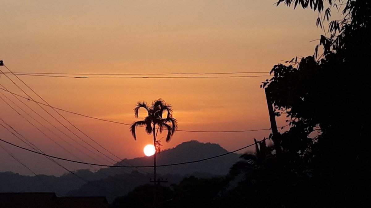 JobySeb89572549's tweet photo. Greetings!!!!
Have a good day!!!!!!!!

#travelphotography
#travelblogger #travelblog #Tourism #Kerala #Munnar #Keralatourism  #instagood #IncredibleIndia  #Keralatourism  #munnarresorts  #exploremunnar  #GooglePhotos #photography https://t.co/GlGGbW8DiA