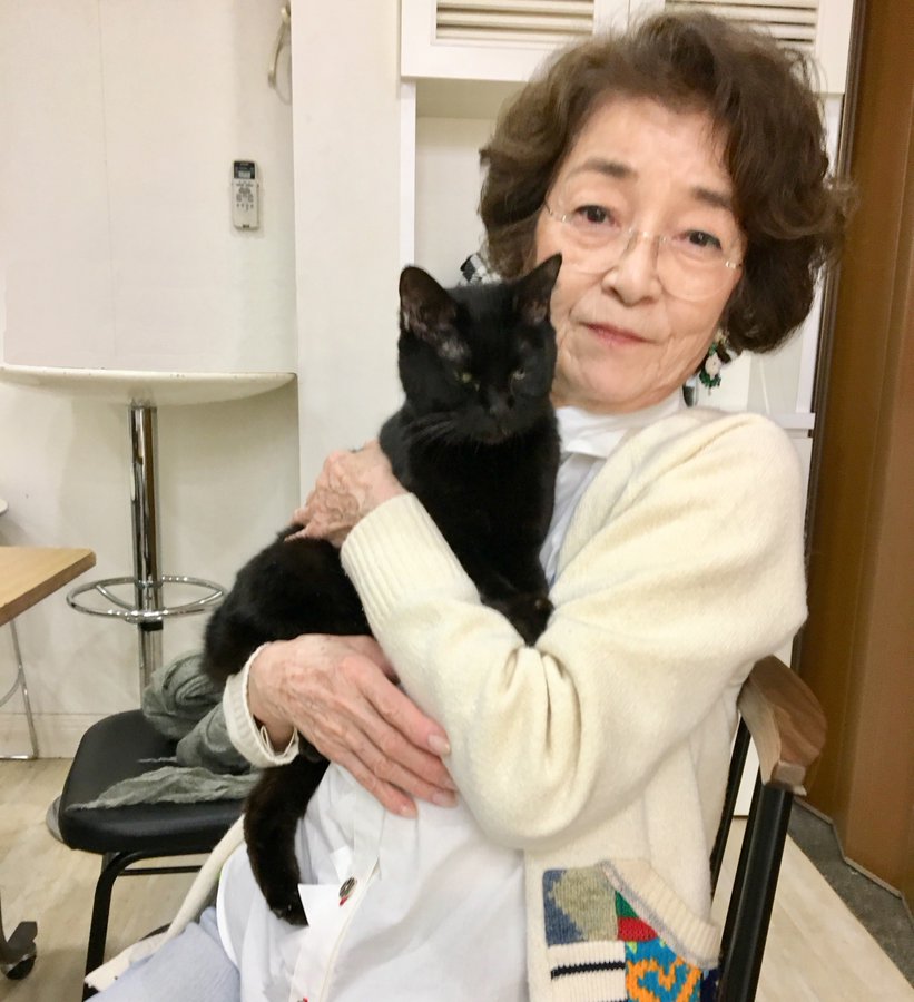 映画 初恋 お父さん チビがいなくなりました 黒猫の名前は 出演作も紹介 はじめての猫ミコを飼う