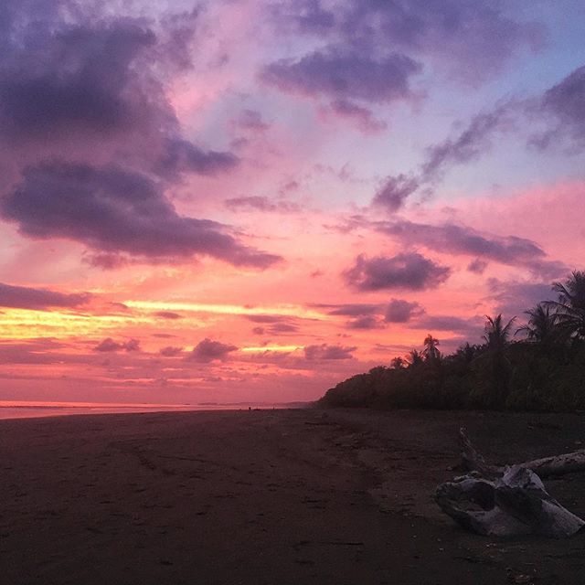 Portia 🌿 | Travel Writer tweet media