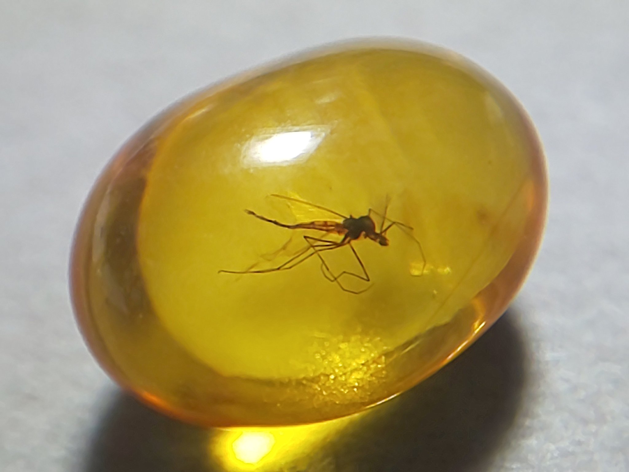 専用 本琥珀 古代クモ入 47g 東Y7-1001☆2F 琥珀原石『UNIDENTIFIED』K-