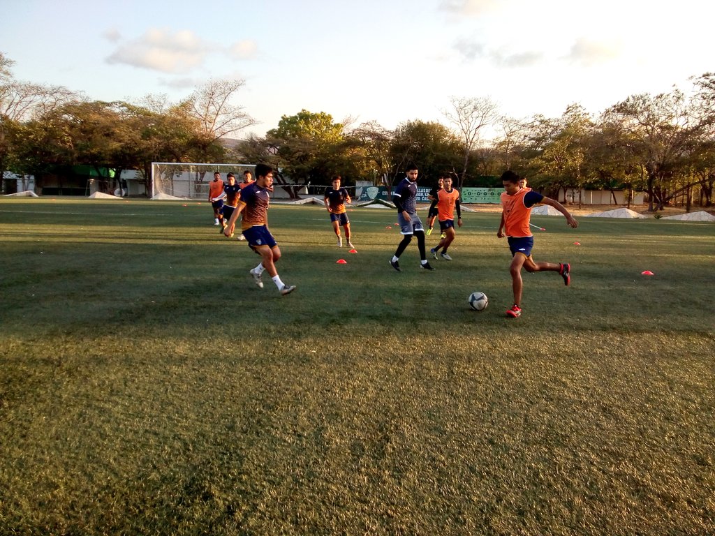 OCELOTES_UNACH's tweet photo. #MisOcelotes iniciaron la semana con trabajo regenerativo en la cancha "Salvador Cabañas"
#SomosOcelotes
#EspírituUnach 
🏟️⚽🐆💪 https://t.co/FlVJiRTOJt