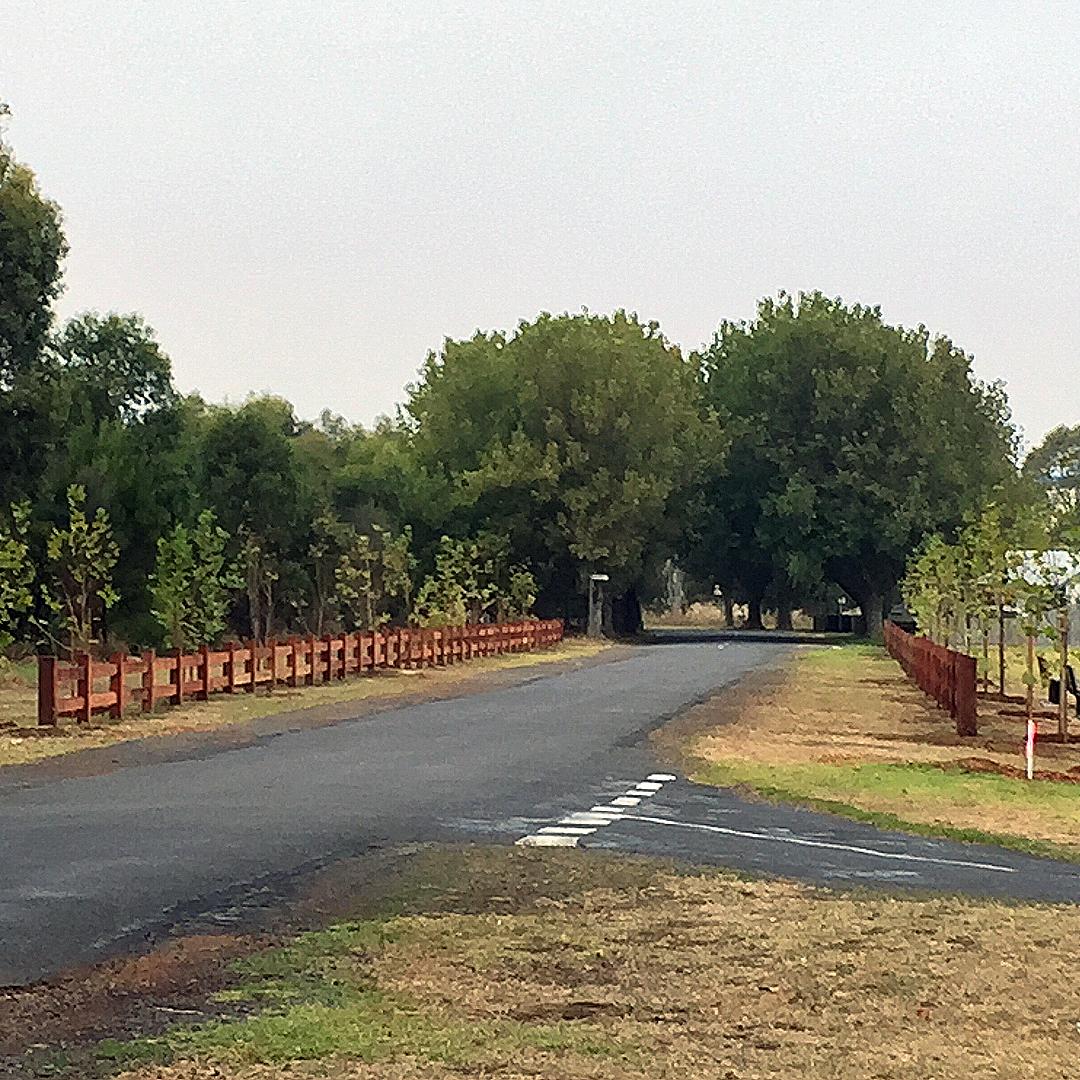 New trees and a new fence at the Koroit Skate Park!
The hollow logs from the trees that were removed will be recycled for nesting boxes for native parrots made by students in the Hands on Learning Program at Brauer College. ow.ly/81fG50m8ZnP