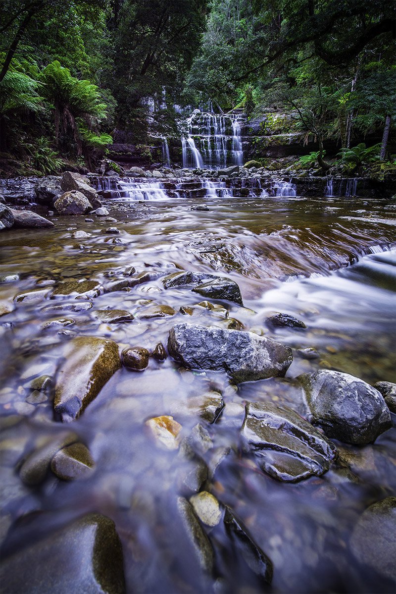 Luscious Liffey Falls. 
Have you been here?