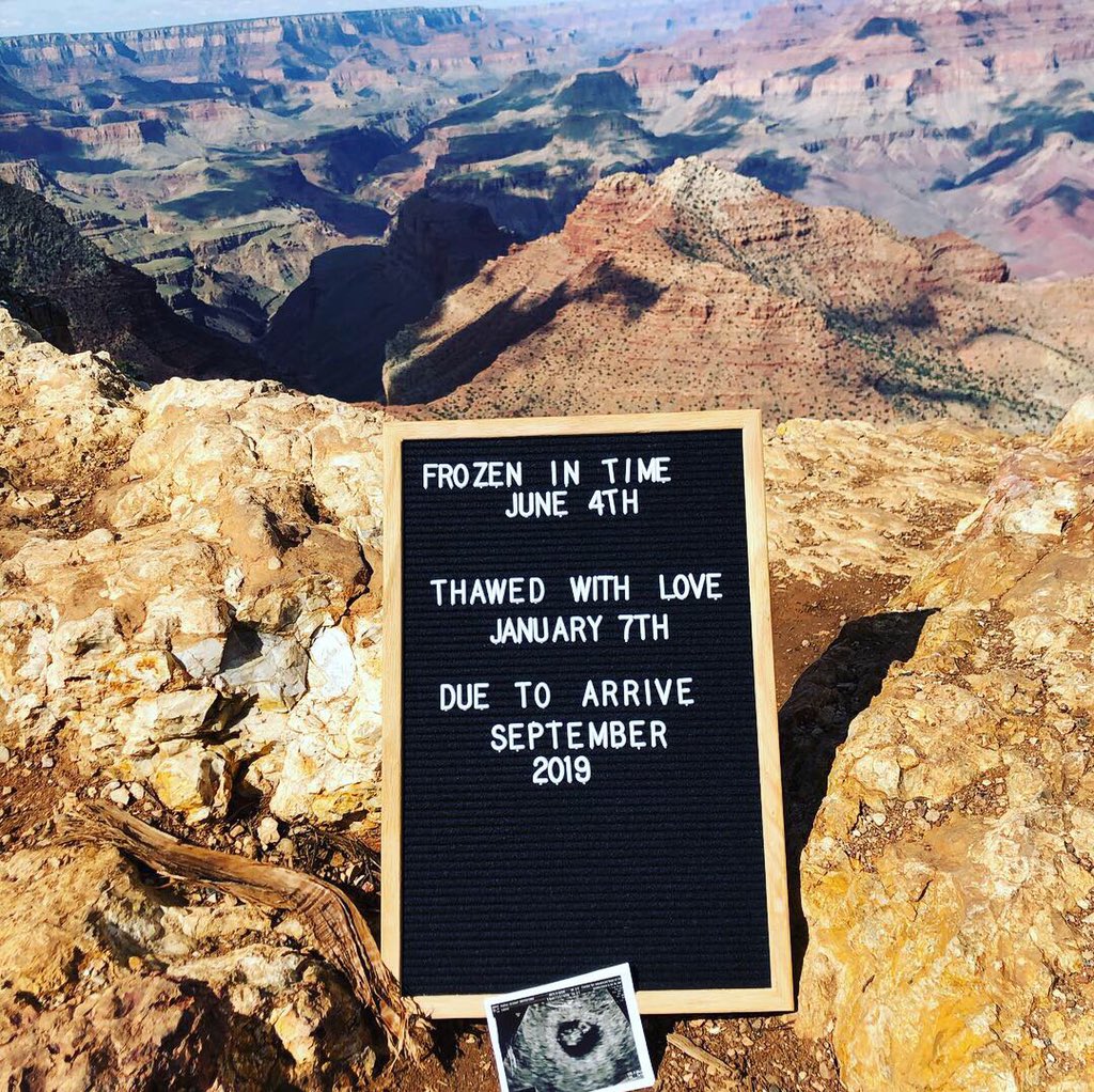 We are having a blast RVing through the Grand Canyon as a family of 4! Four years of infertility & three full rounds of IVF we are excited for a Baby Boy due September 2019! #IVFAwareness #WillieNashPotter #SeptIsABigMonth