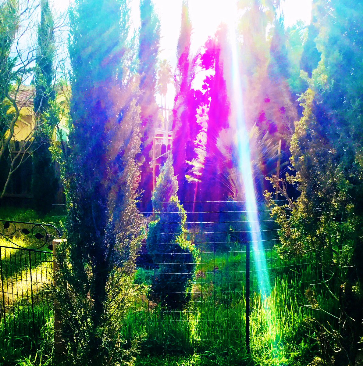 FoxVerdun's tweet photo. A StarFish🌟living with⚡️90% of his body eaten away, still wants to lives,regrows a💥NEW BODY! 😇(Holy Spirit)plus a rainbow of light&Garden. #1 of the highest rated disabled veterans in the world🌎still able to look good for a🤳your presents LORD. https://t.co/lH4bfgdDpY via https://t.co/nWpPfdgPp1