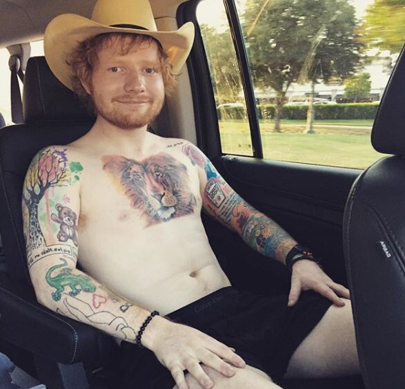 Bbutcherr's tweet photo. Exclusive photo of Conor McGregor in the back of the squad car after his arrest in Miami. #ThugLife #FreeConor #StraightGangster #SmashingPhones https://t.co/PQlaGBM2hK