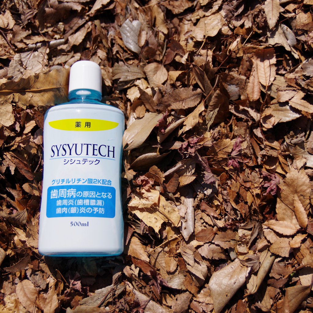 シシュテック公式アカウント Systech Officia Twitter