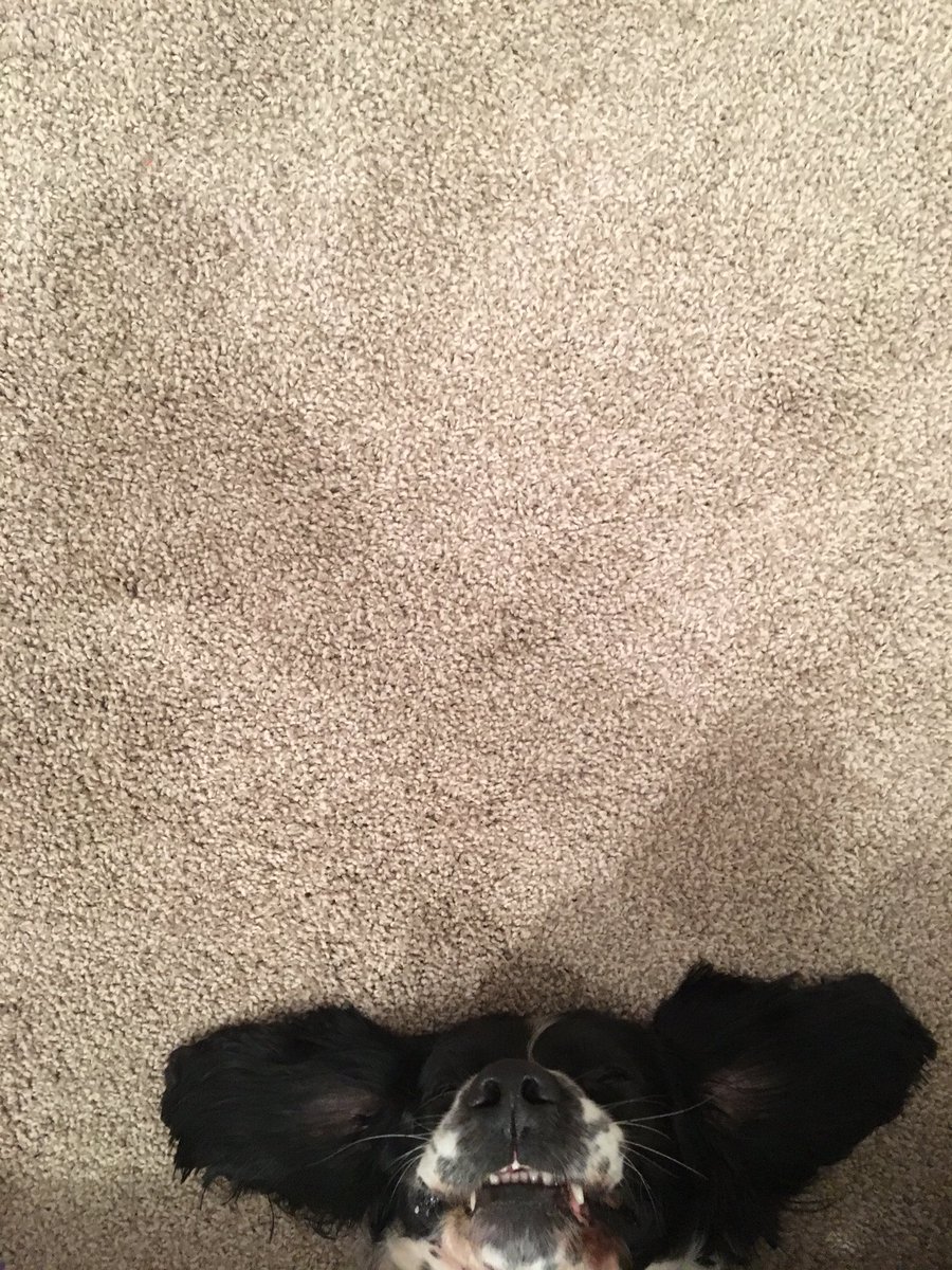 RyanBrooks84's tweet photo. Open for a surprise https://t.co/UPzaEh4AnJ