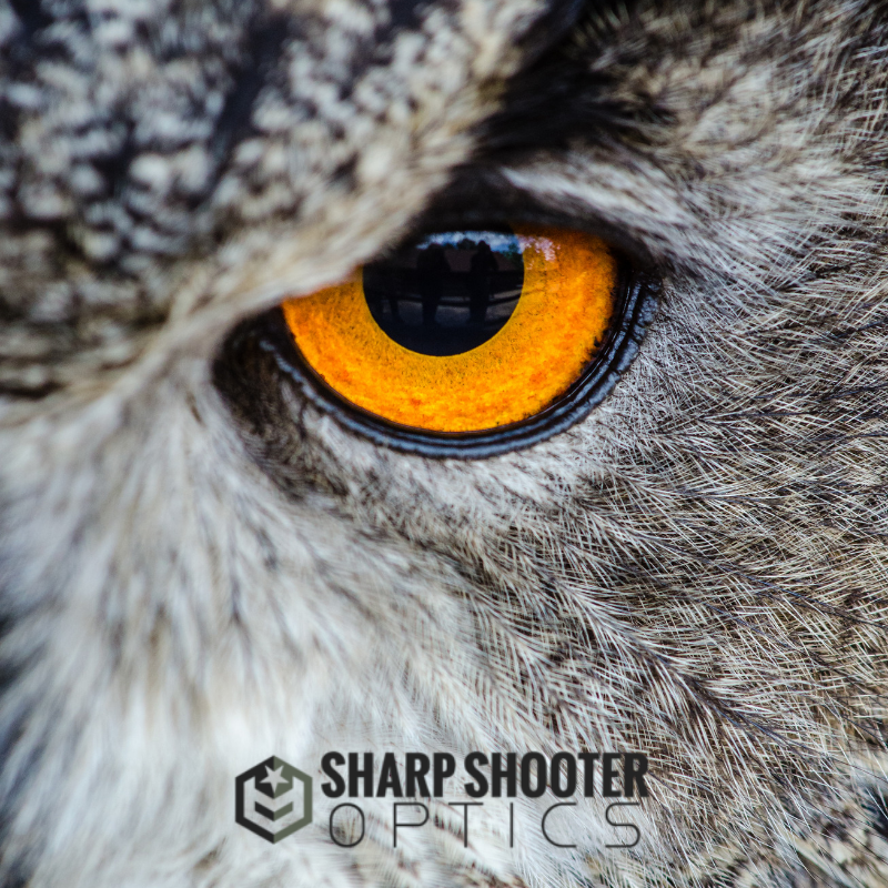 OpticsSharp's tweet photo. Stay Sharp
https://t.co/DON7lhOdK3

#shopforthehunt #BePrepared #huntinglife #militarylife #tacticallife https://t.co/Tc7HS7Fv5w